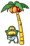 Monkey6